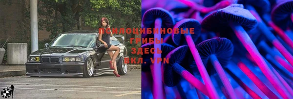 ГАЛЛЮЦИНОГЕННЫЕ ГРИБЫ Аркадак