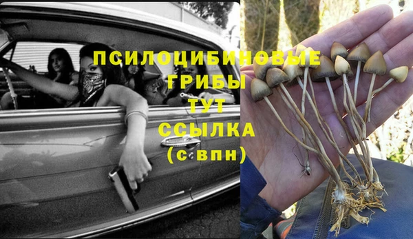 первитин Надым
