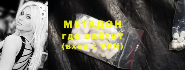индика Алзамай