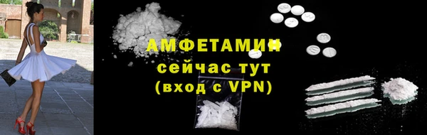 ГАЛЛЮЦИНОГЕННЫЕ ГРИБЫ Аркадак