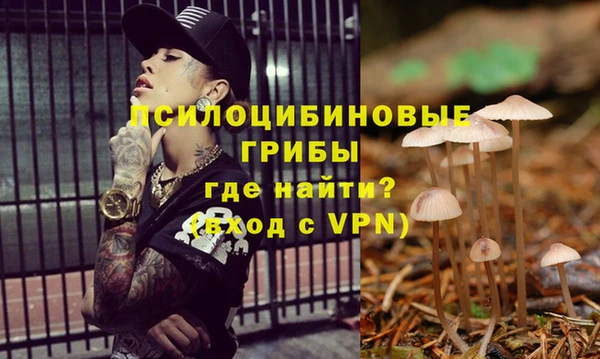 ГАЛЛЮЦИНОГЕННЫЕ ГРИБЫ Аркадак