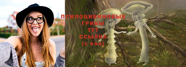 метадон Арсеньев
