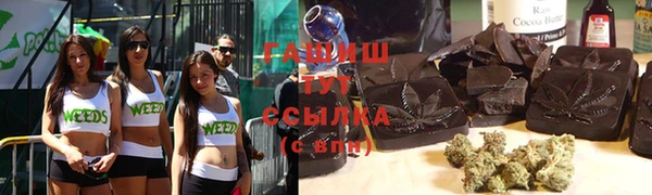 индика Алзамай